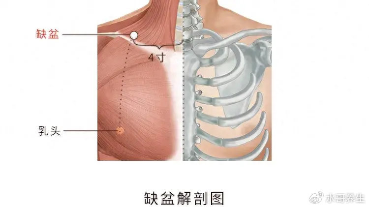 揉一个“聚宝盆”穴位，能把气和血一起通，五脏六腑气血都通了！