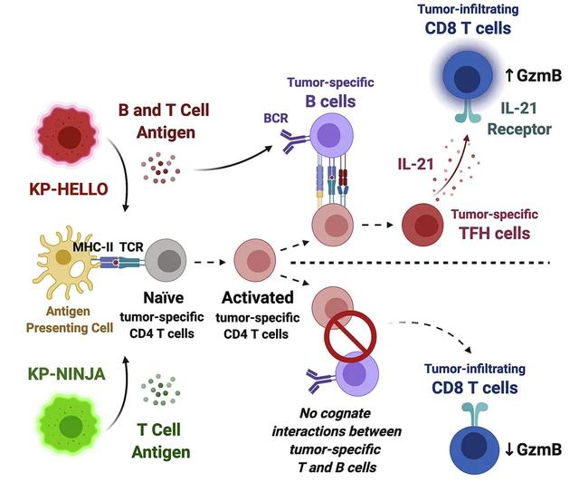科技部已开发智能工具监测学术论文,首个可自我繁殖的活体机器人问世丨一周科技导读休闲区蓝鸢梦想 - Www.slyday.coM 科技部已开发智能工具监测学术论文,首个可自我繁殖的活体机器人问世丨一周科技导读休闲区蓝鸢梦想 - Www.slyday.coM