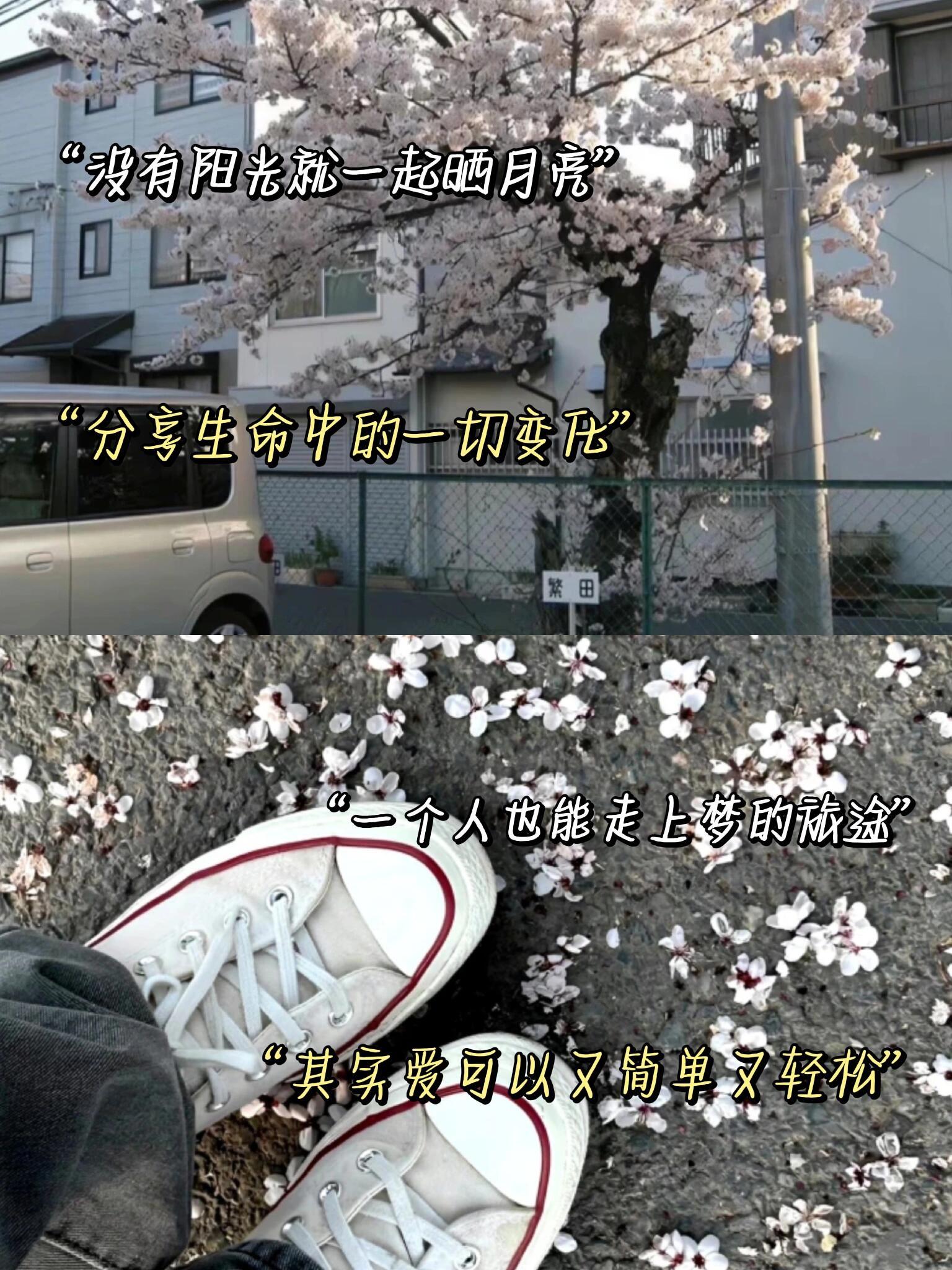 意难平时，陶喆的歌就太适合用来当文案了！你喜欢的意难平歌词又是哪些呢？