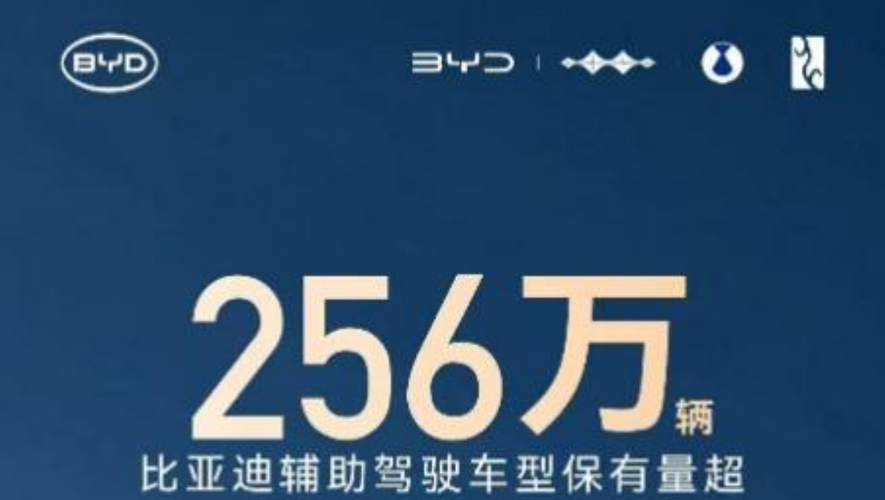256 万 + 用户共同选择，比亚迪辅助驾驶跑出加速度