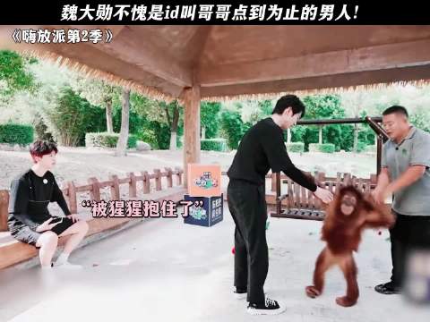 魏大勋不愧是id叫哥哥点到为止的男人！