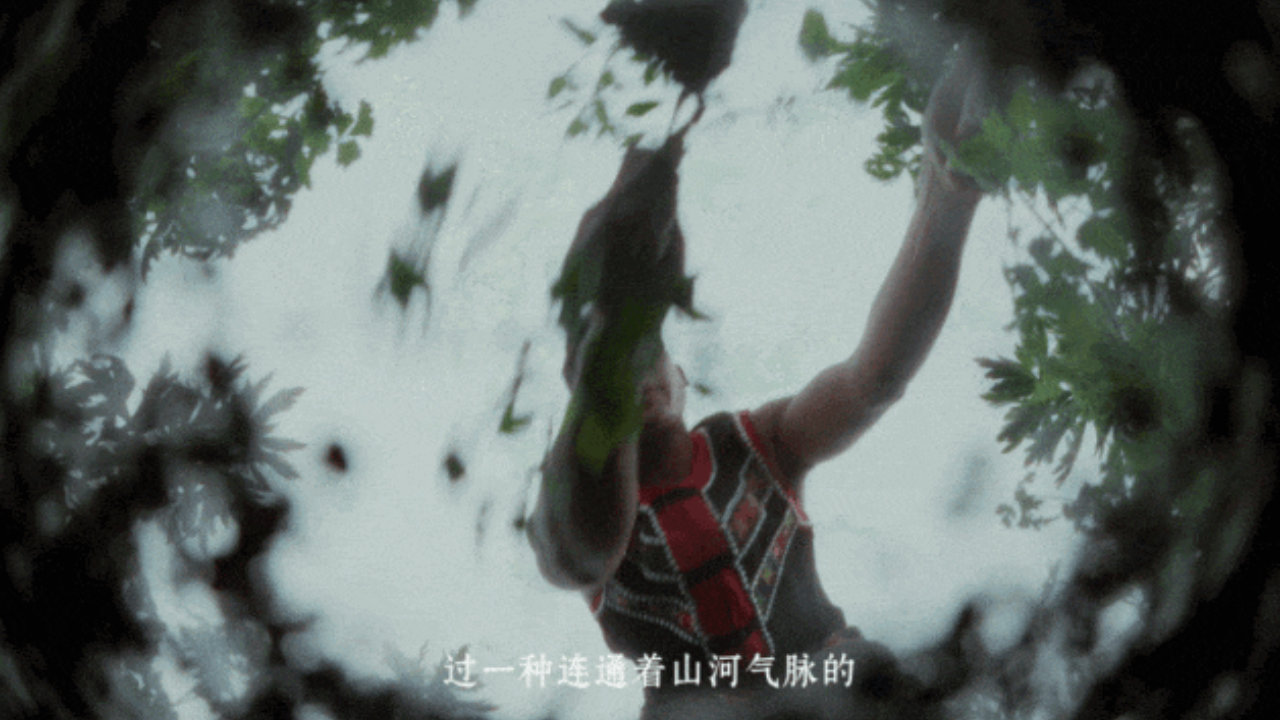 云南白药《深信土地》：每一个向上生长的人，都有一片深信的土地