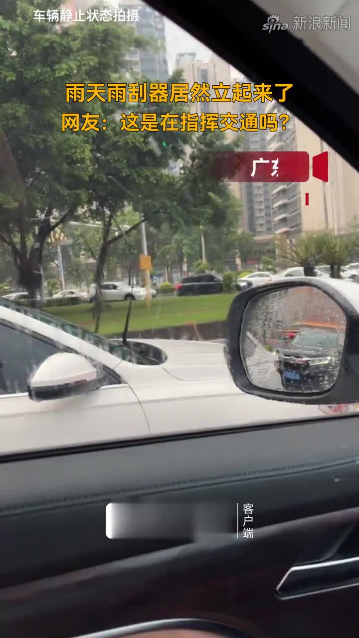 雨天雨刮器居然立起来了  网友：这是在指挥交通吗？