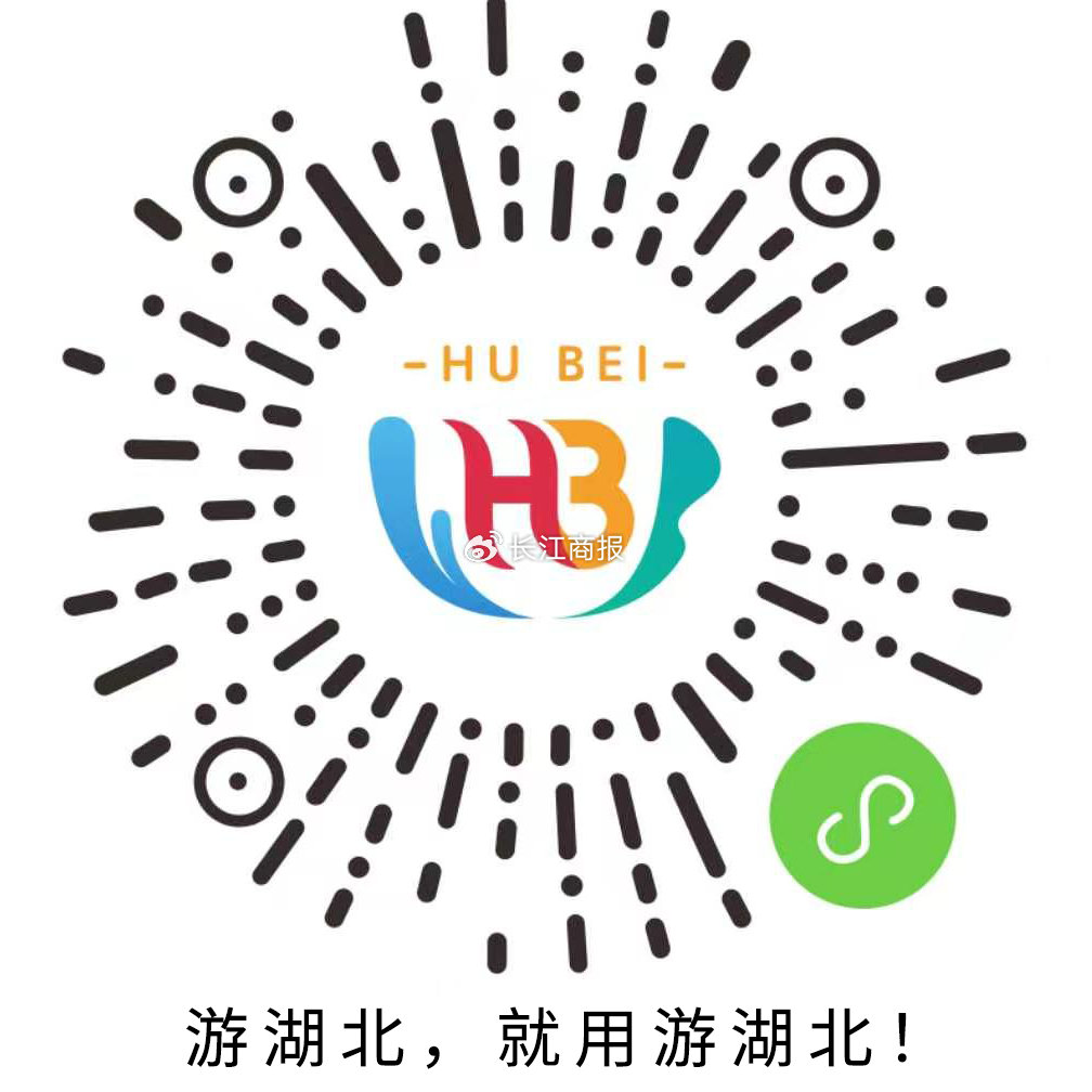 龙蟠科技频融资55亿密集投资财务承压 中期归母净利4.2亿