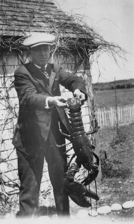 美洲螯龙虾品鉴史：各个年代的人类是如何享用<a href=