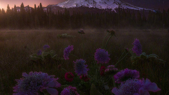 电动车的电池怎么了？这样做很容易！