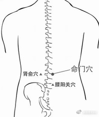 传承中医艾灸重点关键穴位(图3)