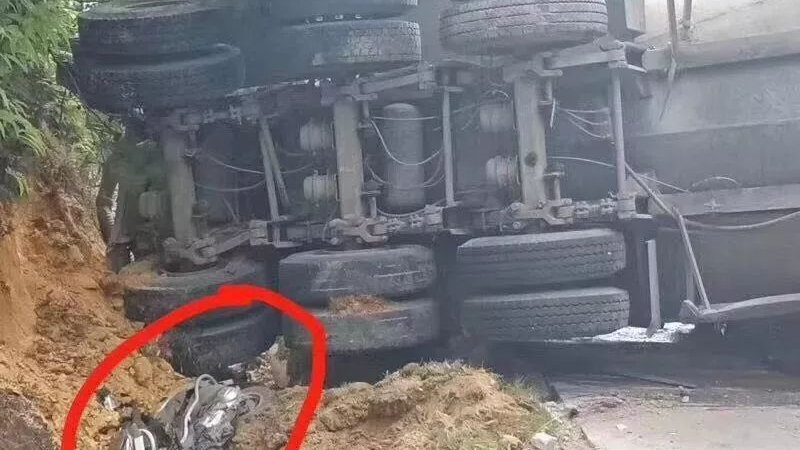 桂林市机动车维修保养记录如何查询?