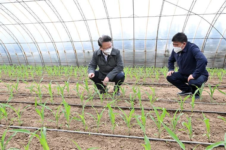 “五一”假期第一天,吉林省委书记与农民兄弟一起过!休闲区蓝鸢梦想 - Www.slyday.coM “五一”假期第一天,吉林省委书记与农民兄弟一起过!休闲区蓝鸢梦想 - Www.slyday.coM