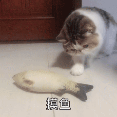 春节临近,这5个常见的过年“健康地雷”,千万别踩!休闲区蓝鸢梦想 - Www.slyday.coM 春节临近,这5个常见的过年“健康地雷”,千万别踩!休闲区蓝鸢梦想 - Www.slyday.coM