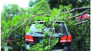 涡轮增压车在使用和保养方面与自吸车有什么不同的地方？