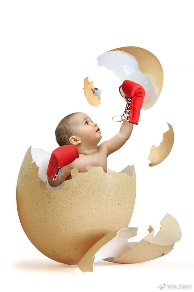 添喜添福,家庭和睦