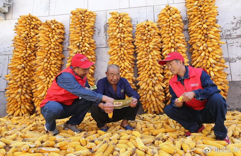 祝福我的祖国!电力保供照亮每一寸山河休闲区蓝鸢梦想 - Www.slyday.coM 祝福我的祖国!电力保供照亮每一寸山河休闲区蓝鸢梦想 - Www.slyday.coM