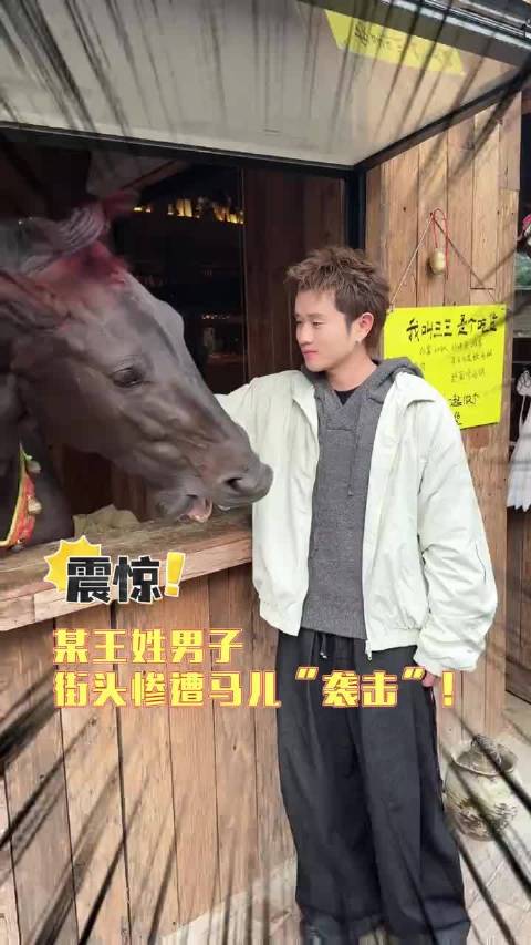 在成都citywalk被马袭击了