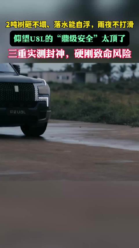 不是所有安全都叫“仰望级”！2吨大树砸顶、落水、雨夜照样从容