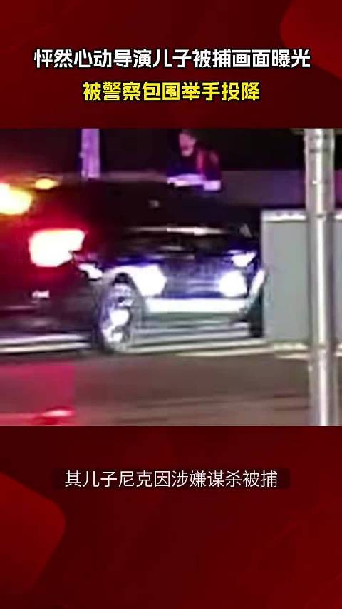 怦然心动导演儿子被捕画面曝光 被警察包围举手投降 点击关注