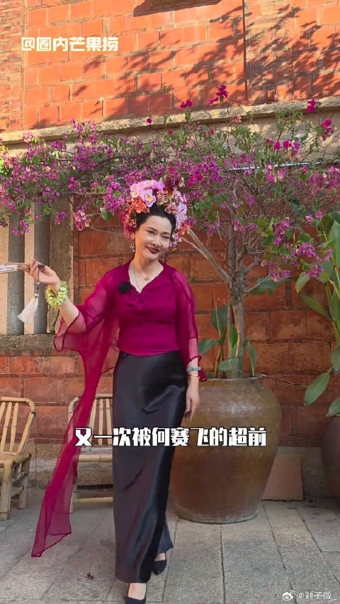 何赛飞 不建议刘嘉玲何赛飞做一桌吃饭