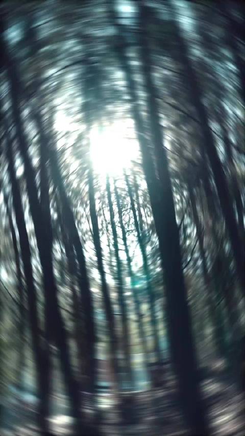 峨眉山月，遥寄相思