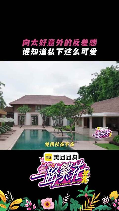 繁花团指定可爱担当