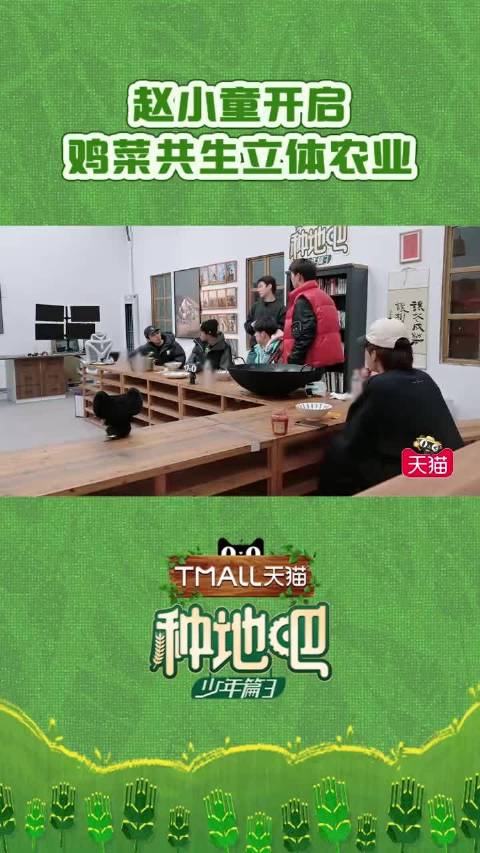 赵小童启动鸡菜共生立体农业，铺设鸡笼跑道