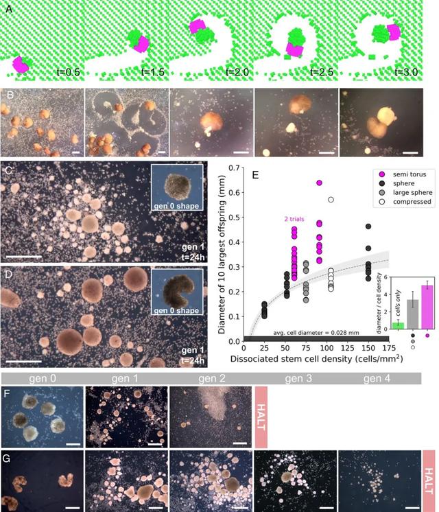 科技部已开发智能工具监测学术论文,首个可自我繁殖的活体机器人问世丨一周科技导读休闲区蓝鸢梦想 - Www.slyday.coM 科技部已开发智能工具监测学术论文,首个可自我繁殖的活体机器人问世丨一周科技导读休闲区蓝鸢梦想 - Www.slyday.coM