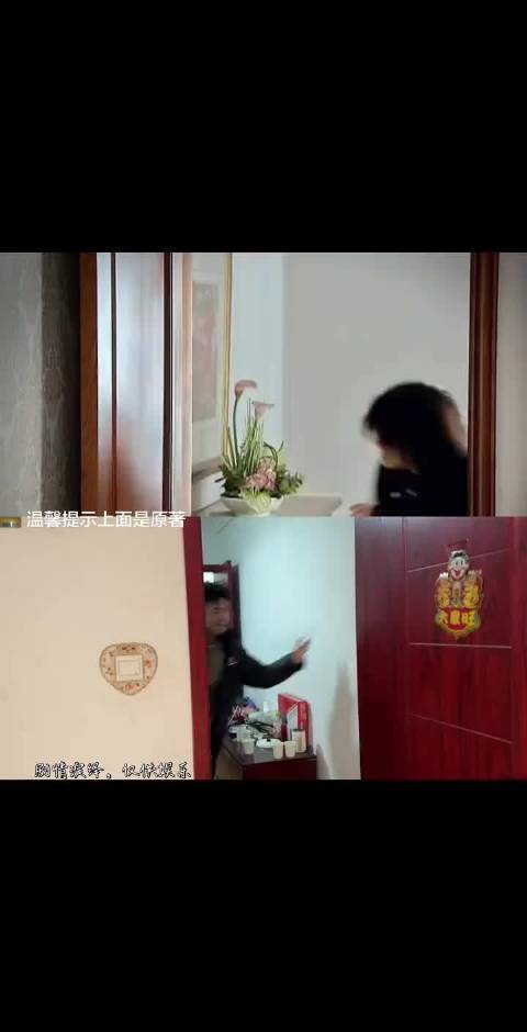 蜗居 海棠 宋思明 剧情 模仿