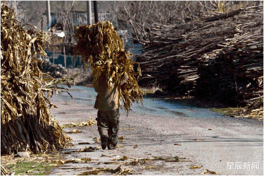 妻子生下女儿遭重男轻女的丈夫嫌弃,再次怀孕却被其要求打掉孩子,一口拒绝后竟突然死在路边休闲区蓝鸢梦想 - Www.slyday.coM 妻子生下女儿遭重男轻女的丈夫嫌弃,再次怀孕却被其要求打掉孩子,一口拒绝后竟突然死在路边休闲区蓝鸢梦想 - Www.slyday.coM