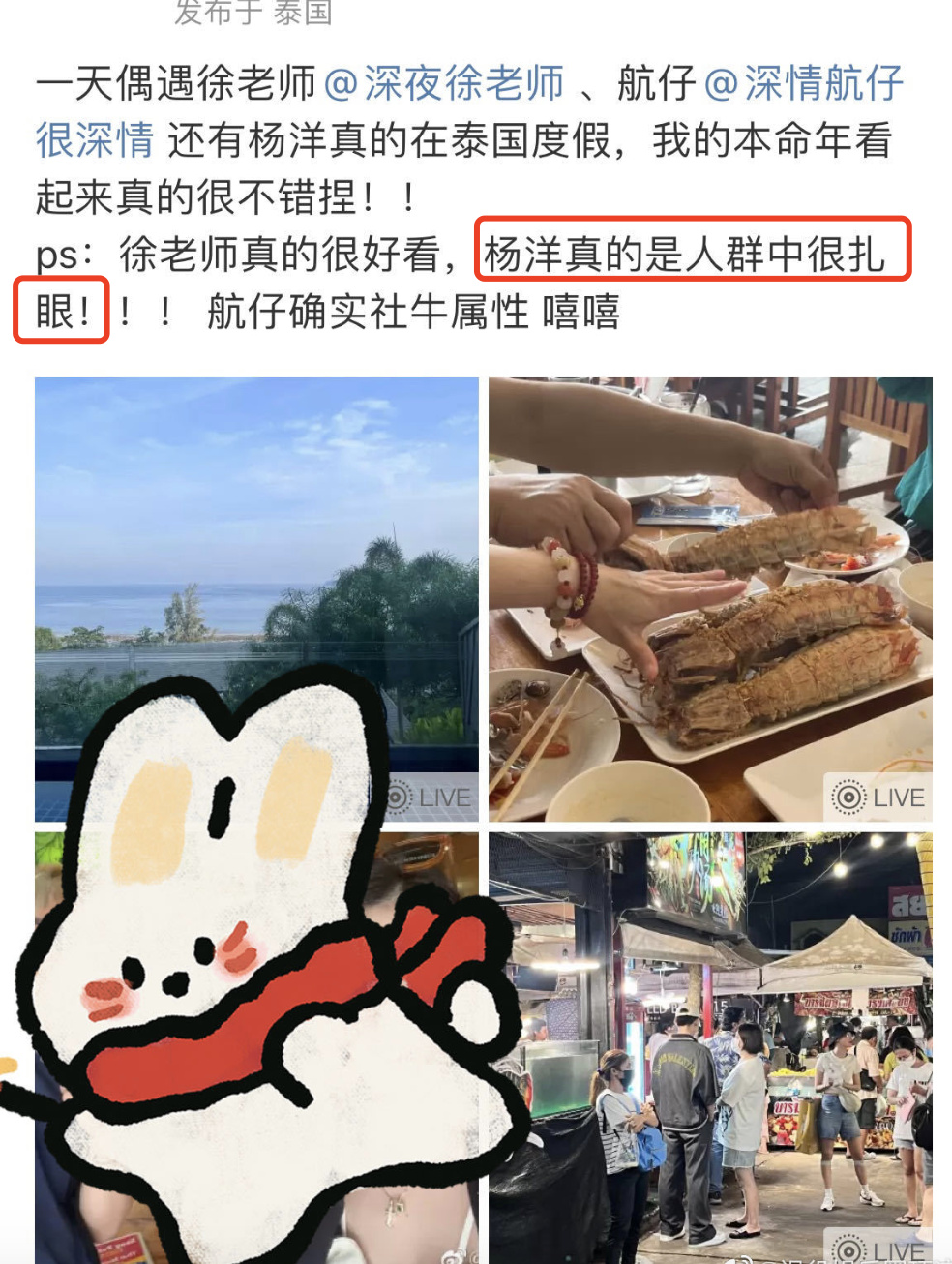 杨洋<a href=