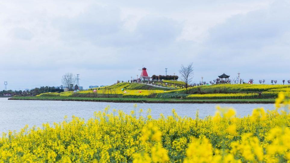 广电5G助力“2023中国最美油菜花海汉中旅游文化节”精彩启幕|广电网络|汉中|油菜花海_新浪新闻