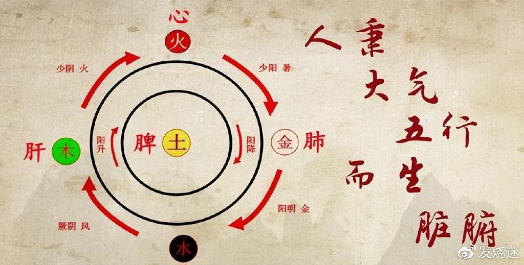 春季喝茶正当时超滤净水机让好茶更健康