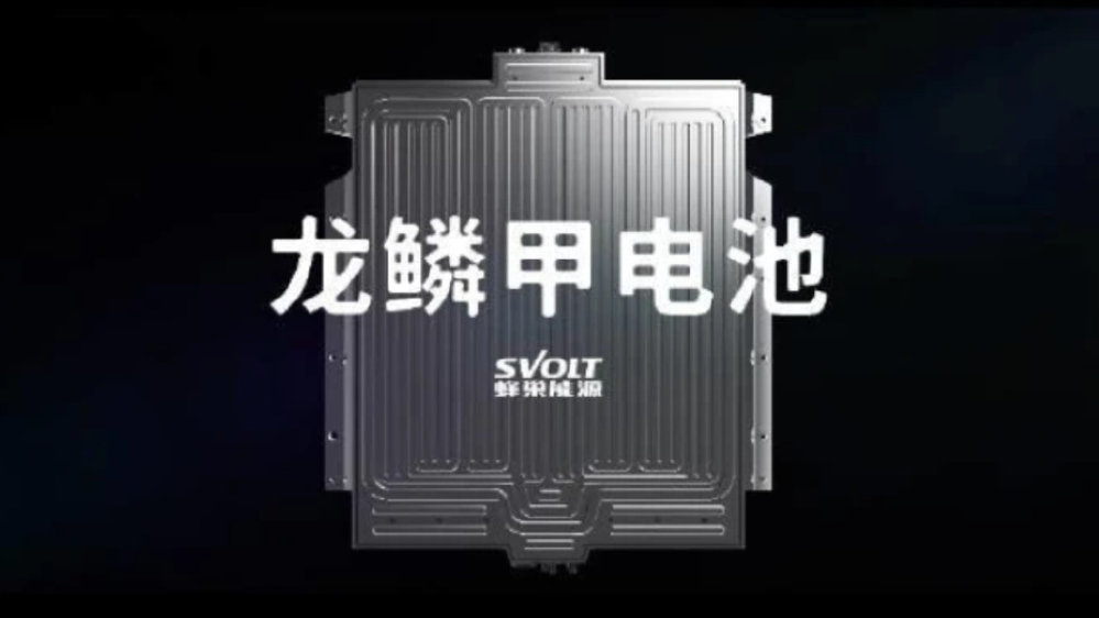 “电池日”背后的蜂巢能源