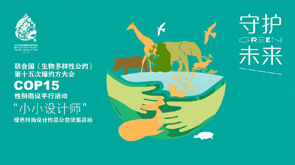 探索文化交流中的多样性表现形式与价值解析的新视角