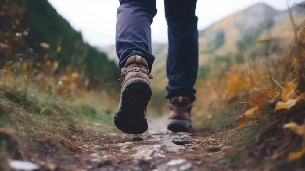 不成长就掉队，95后眼中的成都车展