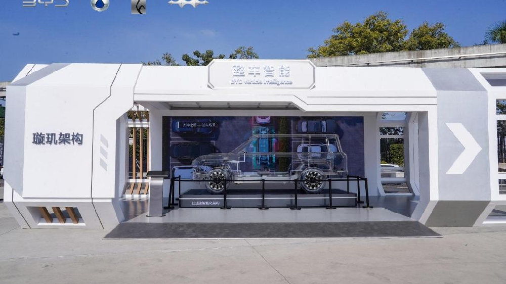 车市分水岭显现！自主新能源汽车全面崛起，比亚迪一马当先