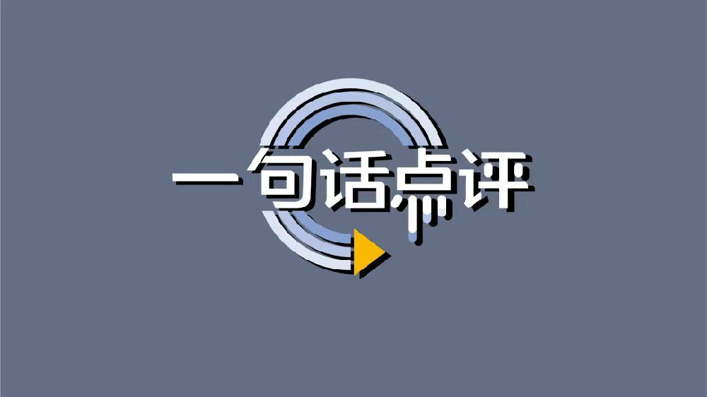 一句话点评12月及全年倒数轿车：这些车型，雷军特别不理解