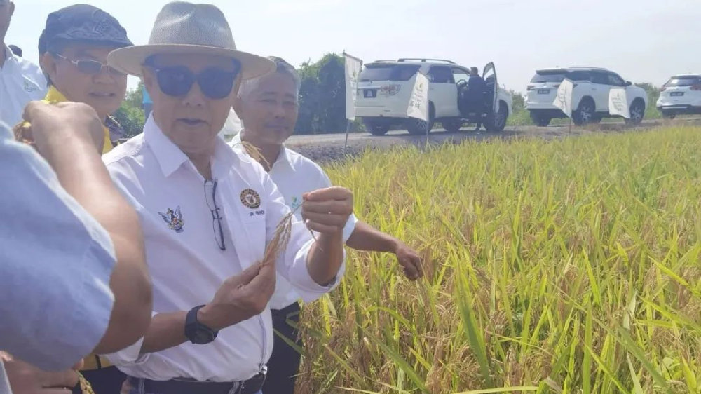 湖北谷神“出海”，GS30在马来西亚劲刮“魔稻”飓风