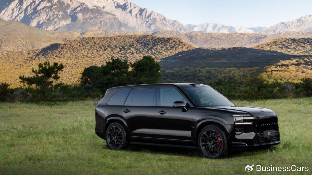 极氪9X这把“成了”