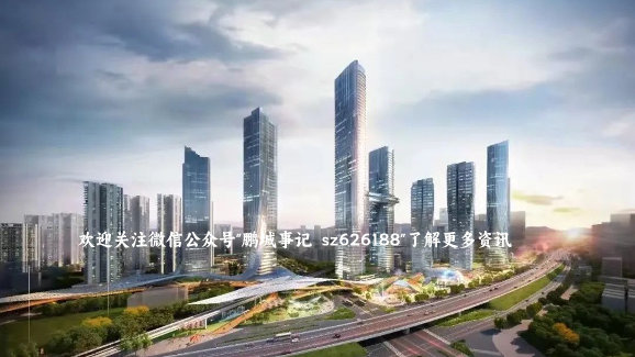 坂田五和枢纽旧改项目概况解析！|物业|业主|物业权利人核实表|计划申报委托书|权利人_新浪新闻