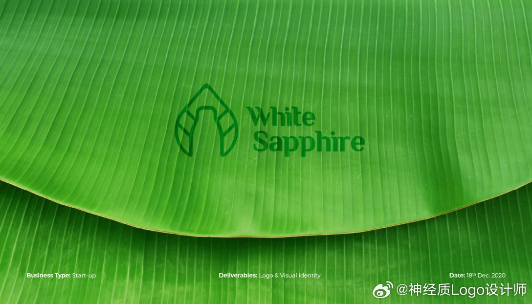 White Sapphire - Branding 文化艺术品牌logo设计和VI设计