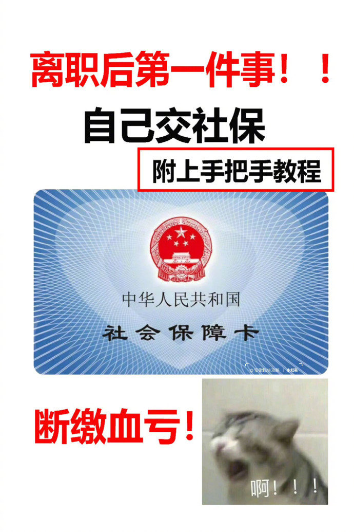 离职后第一件事自己交社保，断缴血亏