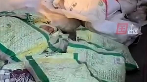 汽车销售遇客户拿13万元1毛硬币购车，网友：这单子废手