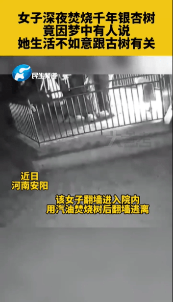 因梦见古树带来不幸,河南一女子两次火烧千年银杏树被刑拘休闲区蓝鸢梦想 - Www.slyday.coM 因梦见古树带来不幸,河南一女子两次火烧千年银杏树被刑拘休闲区蓝鸢梦想 - Www.slyday.coM