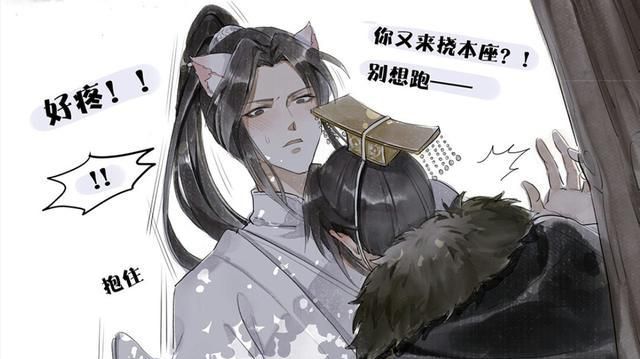 二哈和他的白猫师尊:六岁猫宁上线