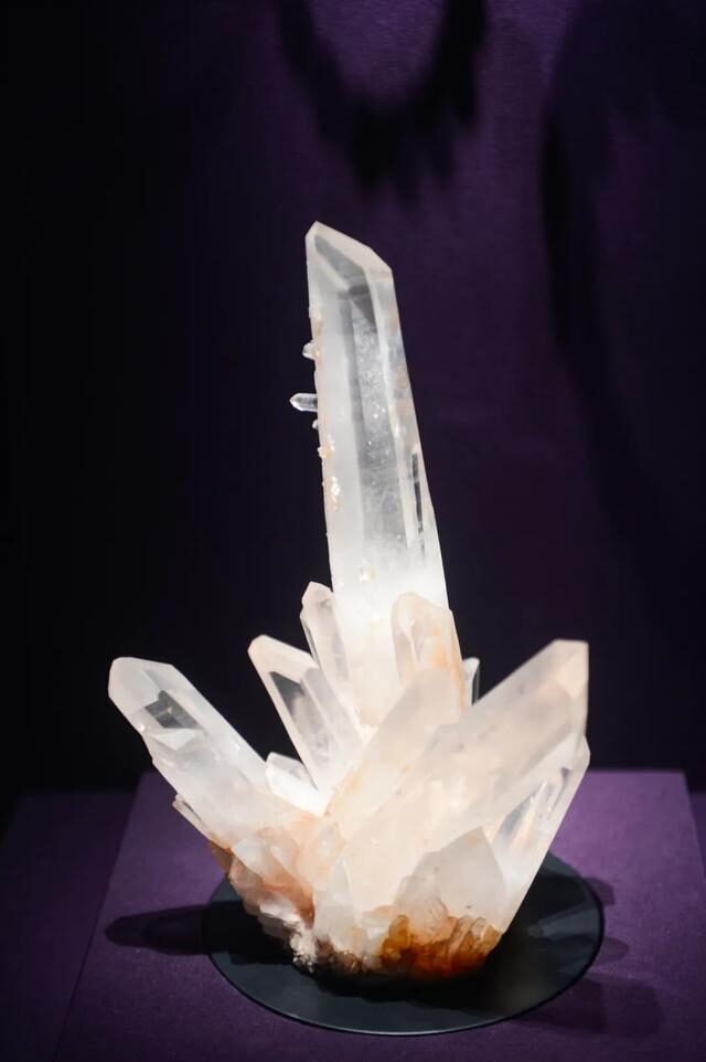 2022必看展览!恐龙来到经十路?还有超梦幻宝石等你探寻!休闲区蓝鸢梦想 - Www.slyday.coM 2022必看展览!恐龙来到经十路?还有超梦幻宝石等你探寻!休闲区蓝鸢梦想 - Www.slyday.coM