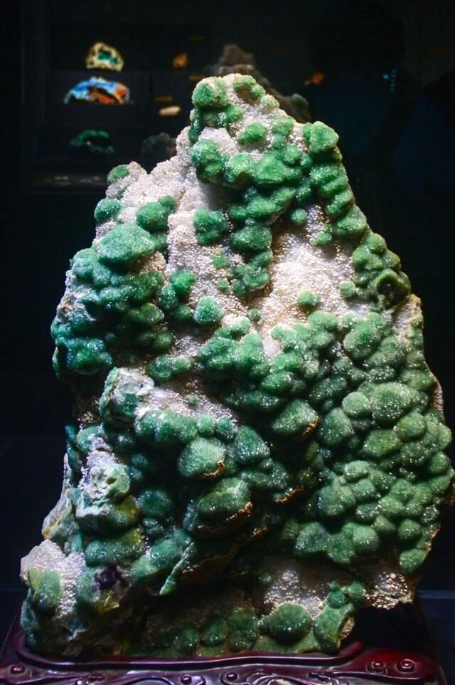 2022必看展览!恐龙来到经十路?还有超梦幻宝石等你探寻!休闲区蓝鸢梦想 - Www.slyday.coM 2022必看展览!恐龙来到经十路?还有超梦幻宝石等你探寻!休闲区蓝鸢梦想 - Www.slyday.coM