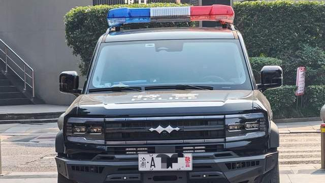 机关大院被比亚迪“攻占”！从出海到征服，全球公务员为何都选它