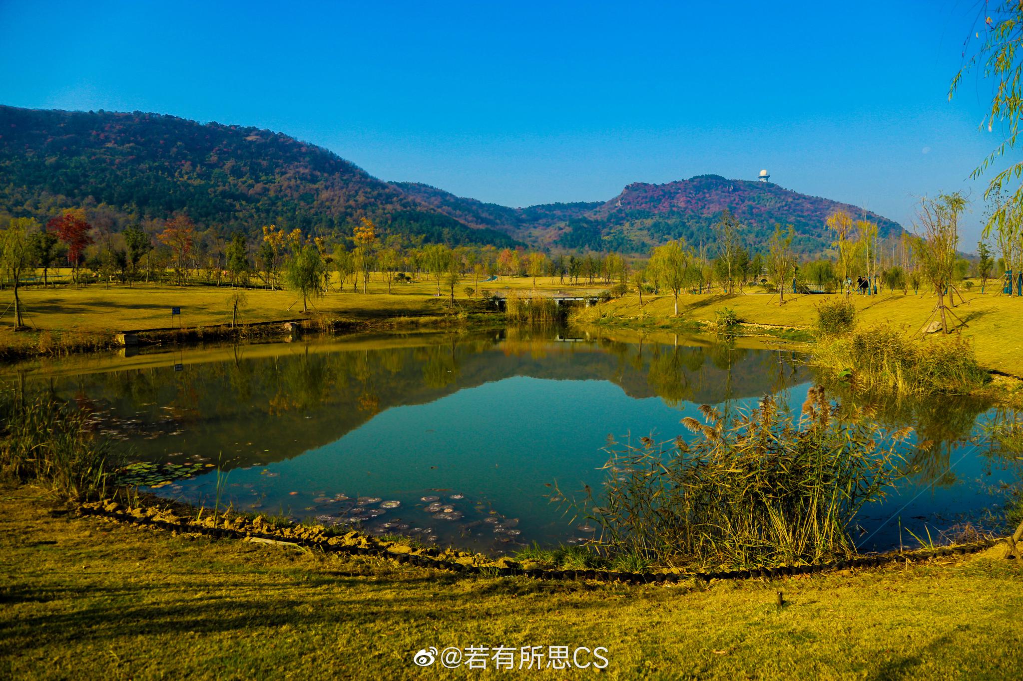 无想山国家森林公园位于南京市溧水区,距离溧水中心城区5千米