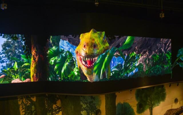 2022必看展览!恐龙来到经十路?还有超梦幻宝石等你探寻!休闲区蓝鸢梦想 - Www.slyday.coM 2022必看展览!恐龙来到经十路?还有超梦幻宝石等你探寻!休闲区蓝鸢梦想 - Www.slyday.coM