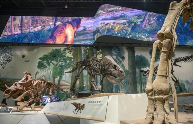 2022必看展览!恐龙来到经十路?还有超梦幻宝石等你探寻!休闲区蓝鸢梦想 - Www.slyday.coM 2022必看展览!恐龙来到经十路?还有超梦幻宝石等你探寻!休闲区蓝鸢梦想 - Www.slyday.coM