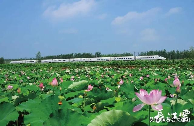 湖北十四五铁路规划建设图最新消息，将实现武汉与周边城市1小时通达,市市通高铁县县通铁路(图7)